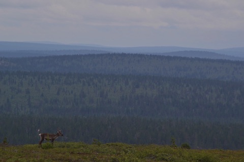 Urho Kekkonen National Park